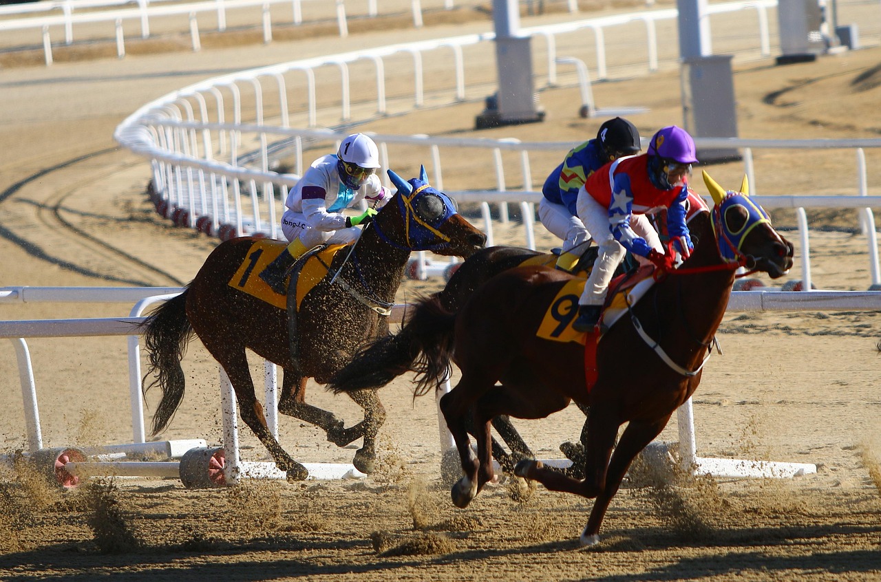 Three horses rounding a corner during a horse race.