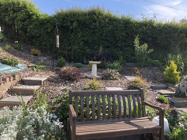 Picture of the landscaping to the right of the Bowls Shelter. A bench in the foreground with steps, terraces, a bird feeder and a bird bath