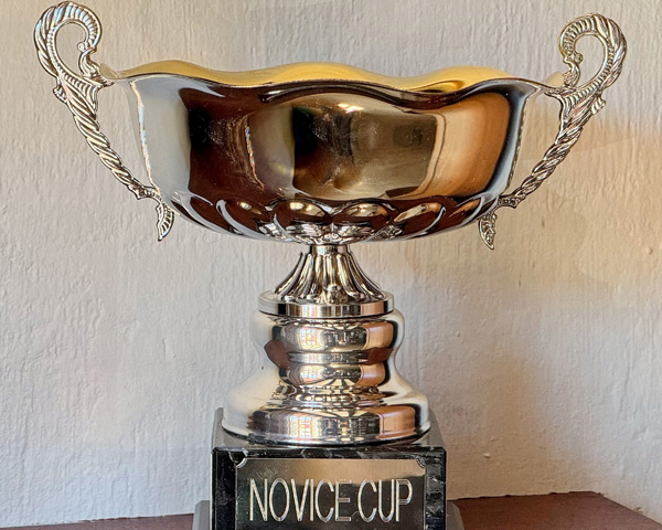 A trophy on a marble effect plinth. It is a cup with ornate handles. The plaque on the plinth reads Novice Cup.